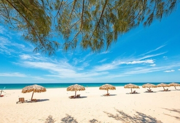 Phongnha Discovery Tours Phongnha Discovery Tours