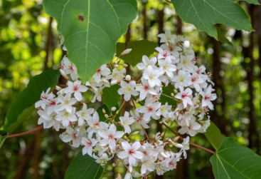 Phongnha Discovery Tours Phongnha Discovery Tours