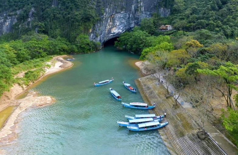 Phongnha Discovery Tours