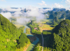 Phongnha Discovery Tours Phongnha Discovery Tours