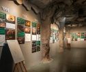 Phongnha Discovery Tours Phongnha Discovery Tours