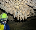 Phongnha Discovery Tours Phongnha Discovery Tours