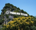 Phongnha Discovery Tours Phongnha Discovery Tours