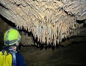 Phongnha Discovery Tours