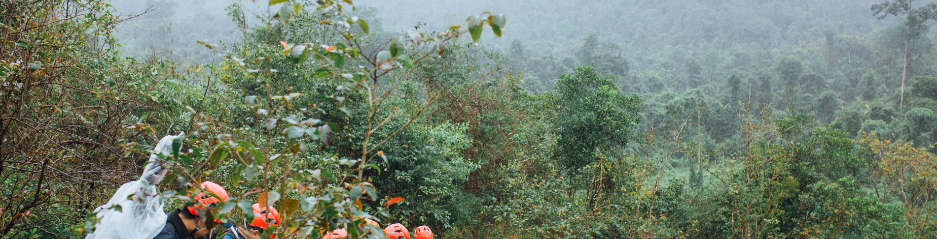 Phongnha Discovery Tours