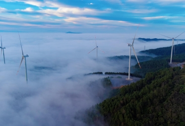 Phongnha Discovery Tours