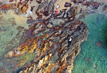 Phongnha Discovery Tours