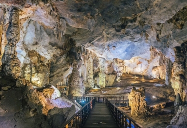 Phongnha Discovery Tours Phongnha Discovery Tours