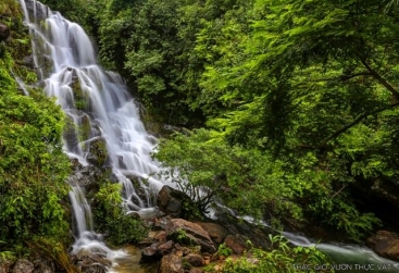 Phongnha Discovery Tours