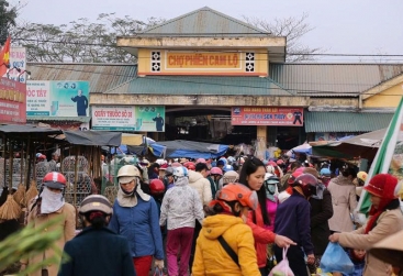 Phongnha Discovery Tours Phongnha Discovery Tours