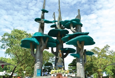 Phongnha Discovery Tours