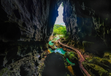 Phongnha Discovery Tours Phongnha Discovery Tours