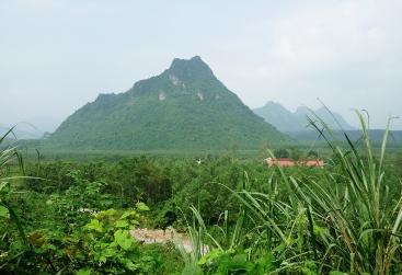 Phongnha Discovery Tours Phongnha Discovery Tours