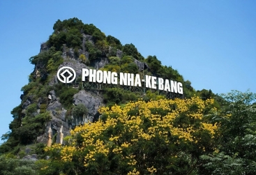Phongnha Discovery Tours Phongnha Discovery Tours