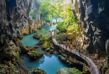 Phongnha Discovery Tours Phongnha Discovery Tours