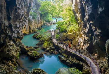 Phongnha Discovery Tours