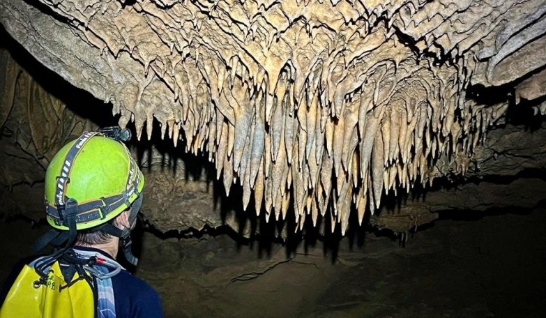 Phongnha Discovery Tours