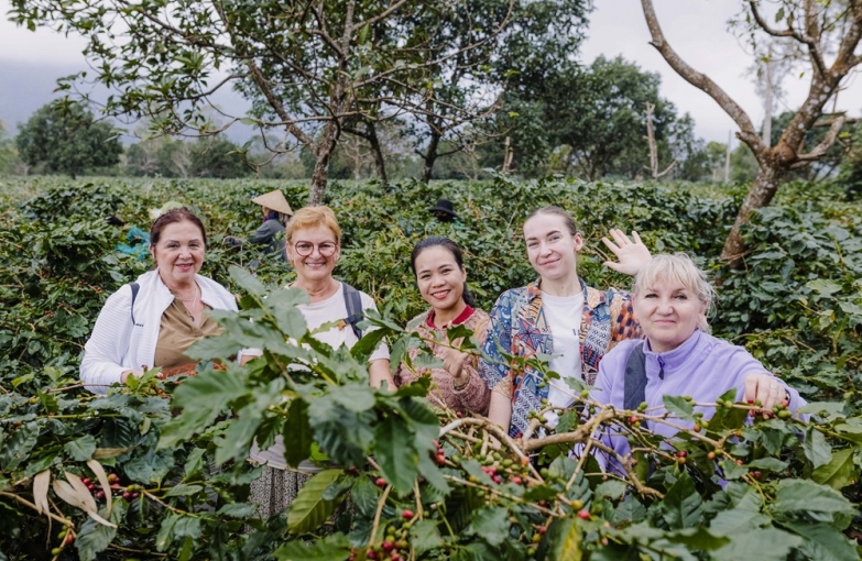 Phongnha Discovery Tours