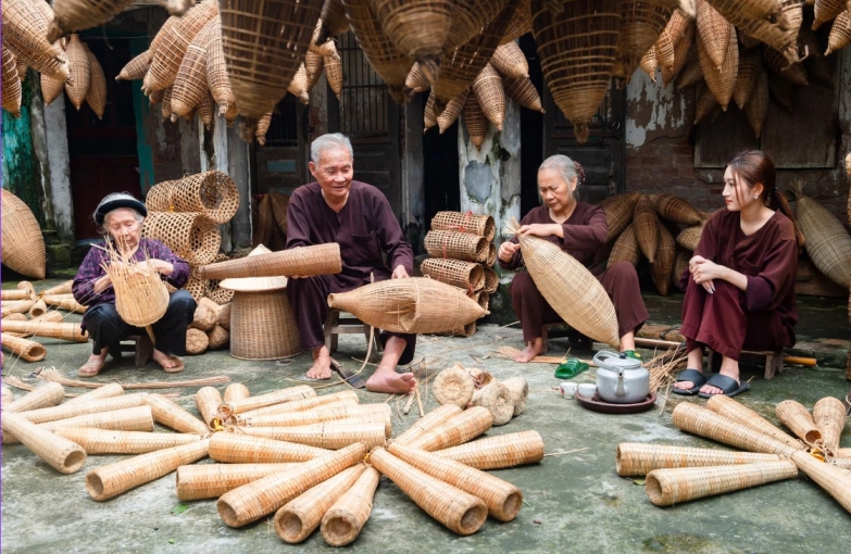 Phongnha Discovery Tours