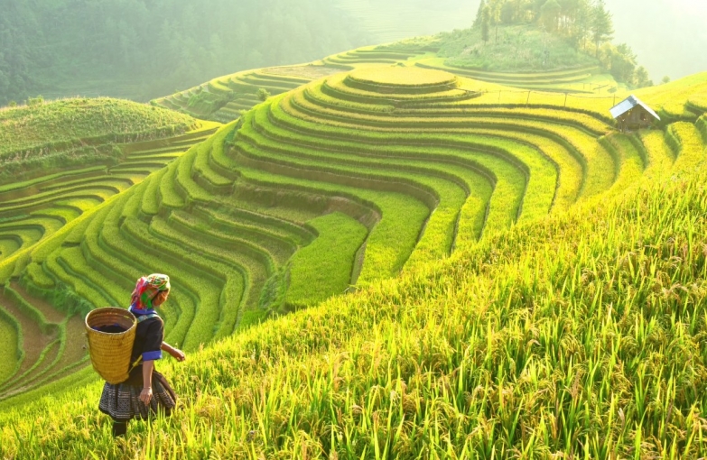 Phongnha Discovery Tours