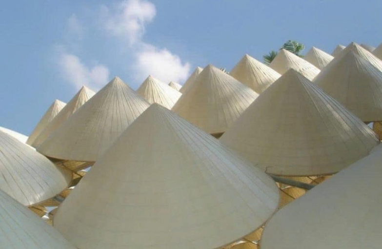 Phongnha Discovery Tours