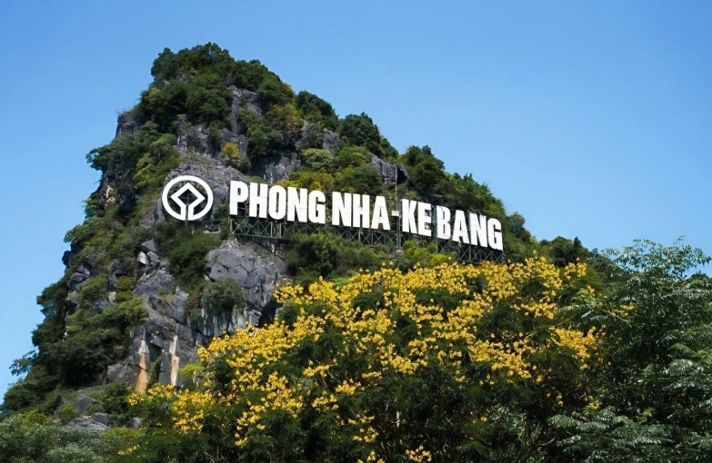 Phongnha Discovery Tours