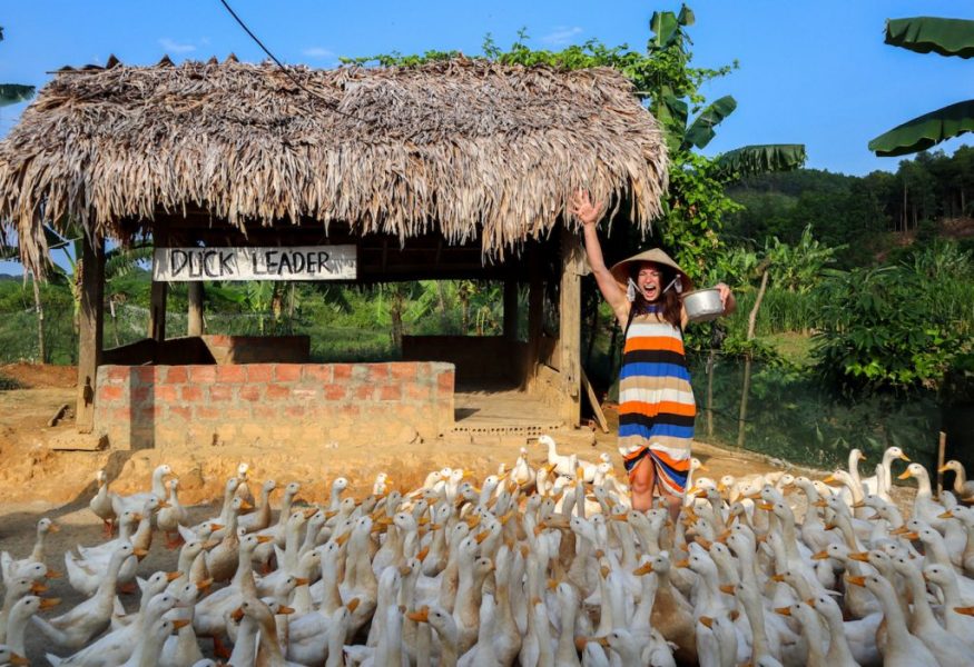 duck-stop duck stop